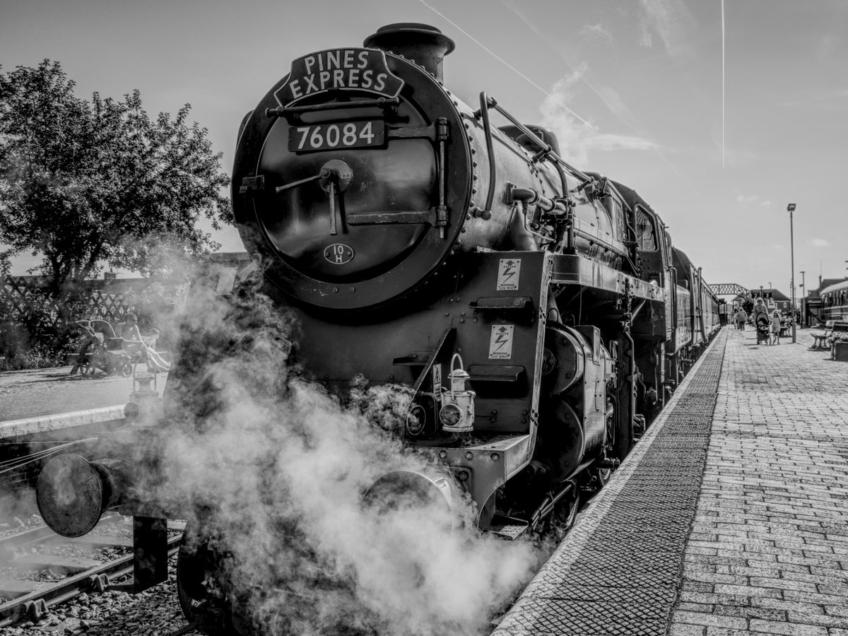 Pines Express - Kevin Cannings